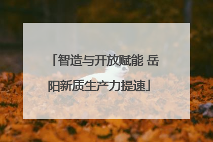 智造与开放赋能 岳阳新质生产力提速