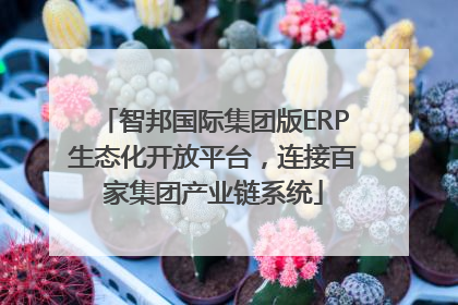 智邦国际集团版ERP生态化开放平台，连接百家集团产业链系统