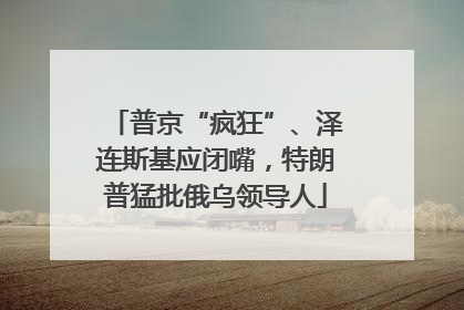 普京“疯狂”、泽连斯基应闭嘴，特朗普猛批俄乌领导人