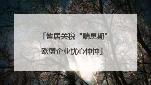 暂居关税“喘息期” 欧盟企业忧心忡忡
