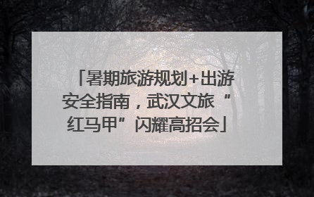 暑期旅游规划+出游安全指南，武汉文旅“红马甲”闪耀高招会