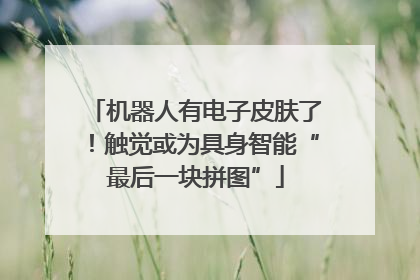 机器人有电子皮肤了！触觉或为具身智能“最后一块拼图”