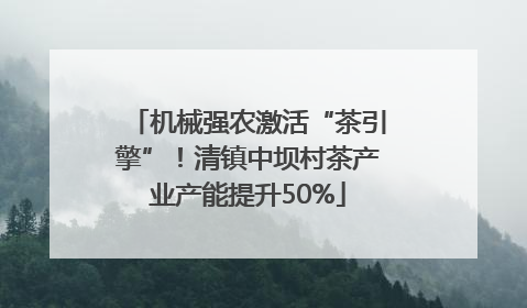 机械强农激活“茶引擎”！清镇中坝村茶产业产能提升50%