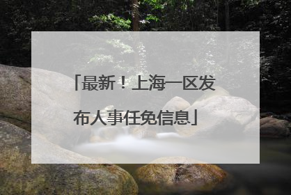 最新！上海一区发布人事任免信息