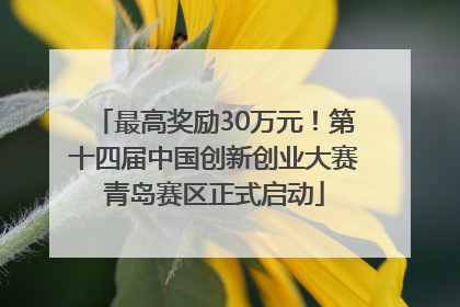 最高奖励30万元！第十四届中国创新创业大赛青岛赛区正式启动