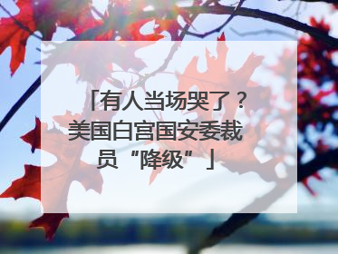 有人当场哭了？美国白宫国安委裁员“降级”