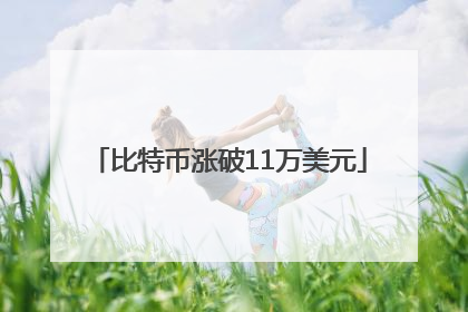 比特币涨破11万美元