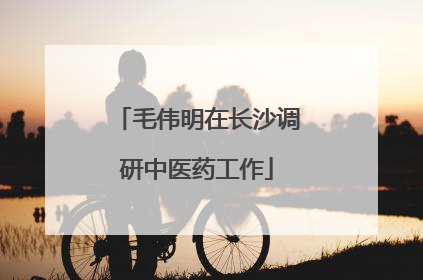 毛伟明在长沙调研中医药工作