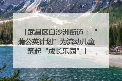 武昌区白沙洲街道：“蒲公英计划”为流动儿童筑起“成长乐园”