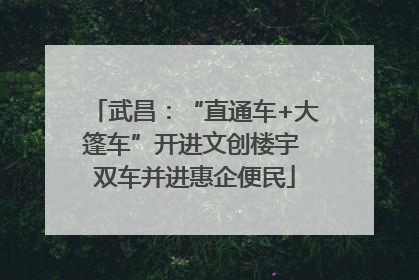 武昌：“直通车+大篷车”开进文创楼宇 双车并进惠企便民