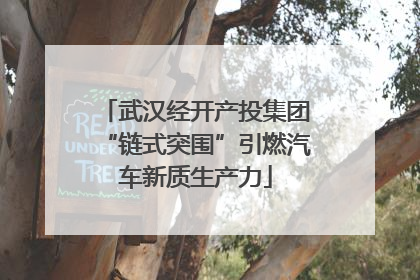 武汉经开产投集团“链式突围”引燃汽车新质生产力