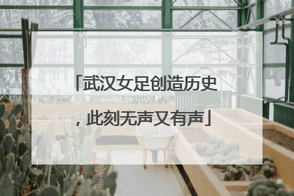 武汉女足创造历史，此刻无声又有声