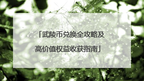 武陵币兑换全攻略及高价值权益收获指南