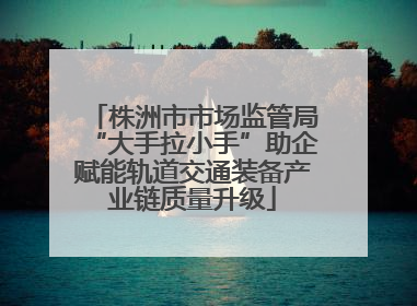 株洲市市场监管局“大手拉小手”助企赋能轨道交通装备产业链质量升级