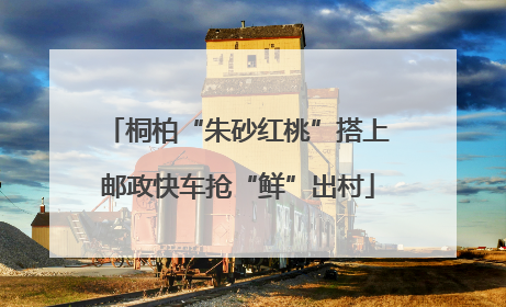 桐柏“朱砂红桃”搭上邮政快车抢“鲜”出村