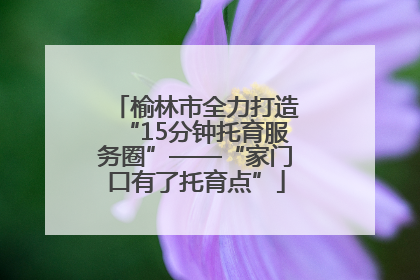 榆林市全力打造“15分钟托育服务圈”——“家门口有了托育点”