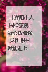 濮阳市人民检察院：凝心铸魂强党性 驻村赋能迎七一