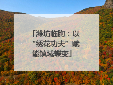 潍坊临朐：以“绣花功夫”赋能镇域蝶变