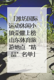 潍坊国际运动休闲小镇荣耀上榜山东体育旅游地点“精品”名单