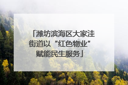潍坊滨海区大家洼街道以“红色物业”赋能民生服务