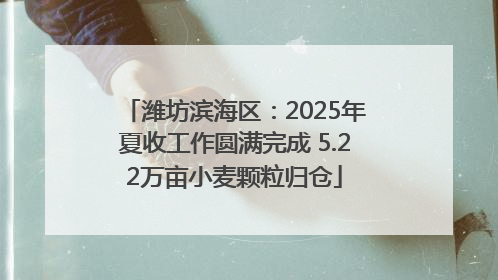 潍坊滨海区：2025年夏收工作圆满完成 5.22万亩小麦颗粒归仓