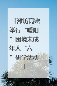 潍坊高密举行“暖阳”困境未成年人“六一”研学活动
