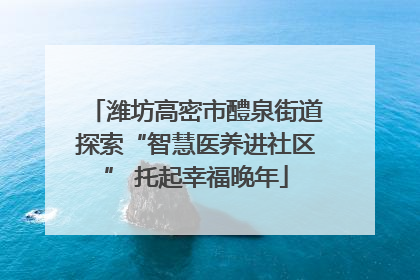 潍坊高密市醴泉街道探索“智慧医养进社区” 托起幸福晚年
