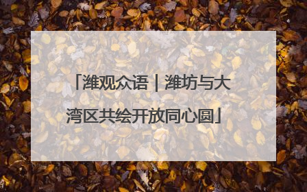 潍观众语｜潍坊与大湾区共绘开放同心圆