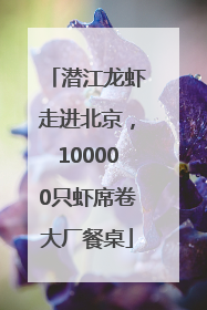 潜江龙虾走进北京，100000只虾席卷大厂餐桌