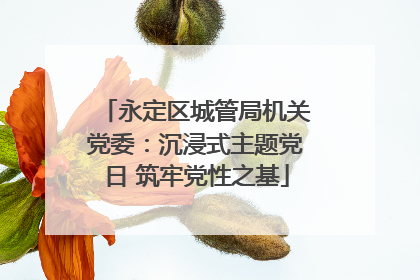 永定区城管局机关党委：沉浸式主题党日 筑牢党性之基