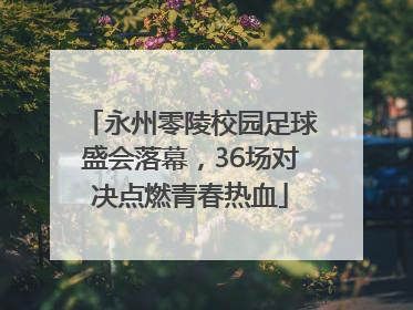 永州零陵校园足球盛会落幕，36场对决点燃青春热血