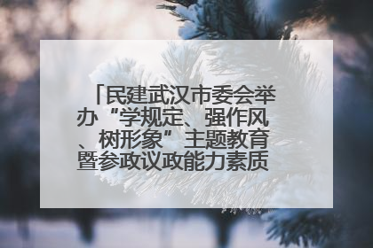 民建武汉市委会举办“学规定、强作风、树形象”主题教育暨参政议政能力素质提升培训班