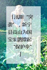汛期“突袭”，新宁县崀山为国宝朱鹮撑起“保护伞”