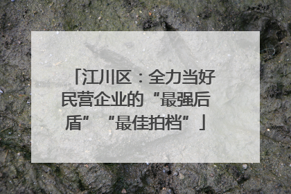 江川区：全力当好民营企业的“最强后盾”“最佳拍档”