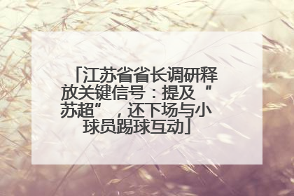 江苏省省长调研释放关键信号：提及“苏超”，还下场与小球员踢球互动
