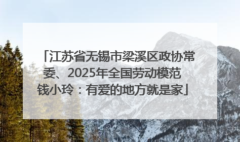江苏省无锡市梁溪区政协常委、2025年全国劳动模范钱小玲：有爱的地方就是家