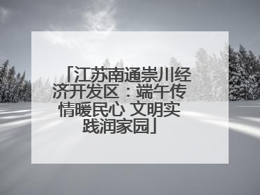 江苏南通崇川经济开发区：端午传情暖民心 文明实践润家园