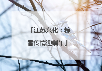江苏兴化：粽香传情迎端午