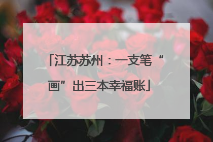 江苏苏州：一支笔“画”出三本幸福账