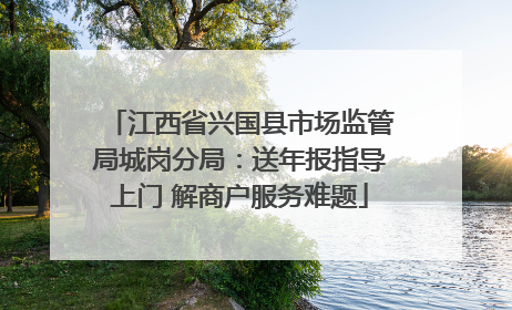江西省兴国县市场监管局城岗分局：送年报指导上门 解商户服务难题