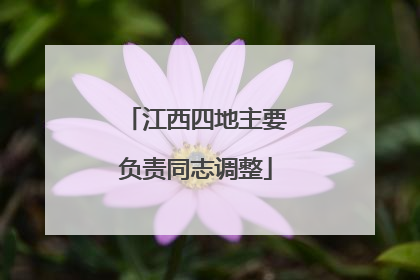 江西四地主要负责同志调整