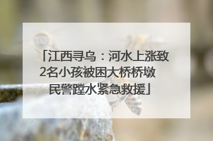 江西寻乌：河水上涨致2名小孩被困大桥桥墩 民警蹚水紧急救援