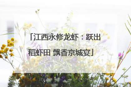 江西永修龙虾：跃出稻虾田 飘香京城宴