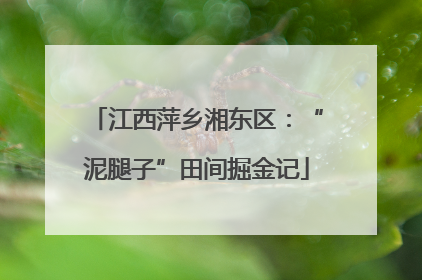 江西萍乡湘东区：“泥腿子”田间掘金记