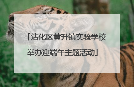 沾化区黄升镇实验学校举办迎端午主题活动