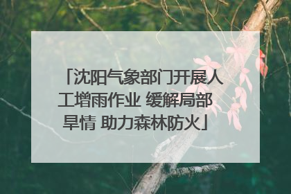 沈阳气象部门开展人工增雨作业 缓解局部旱情 助力森林防火