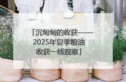 沉甸甸的收获——2025年夏季粮油收获一线观察