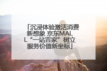 沉浸体验激活消费新想象 京东MALL“一站置家”树立服务价值新坐标