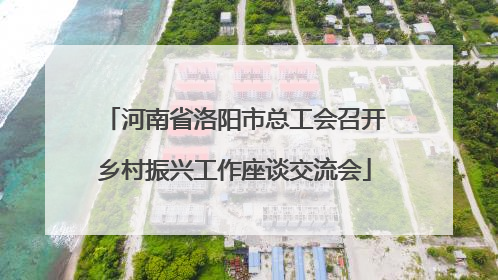 河南省洛阳市总工会召开乡村振兴工作座谈交流会