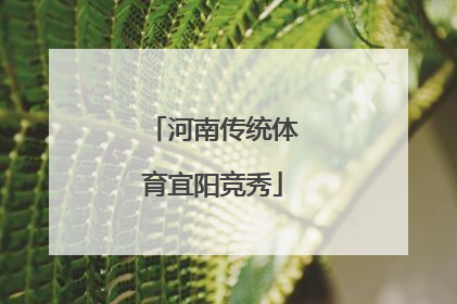 河南传统体育宜阳竞秀